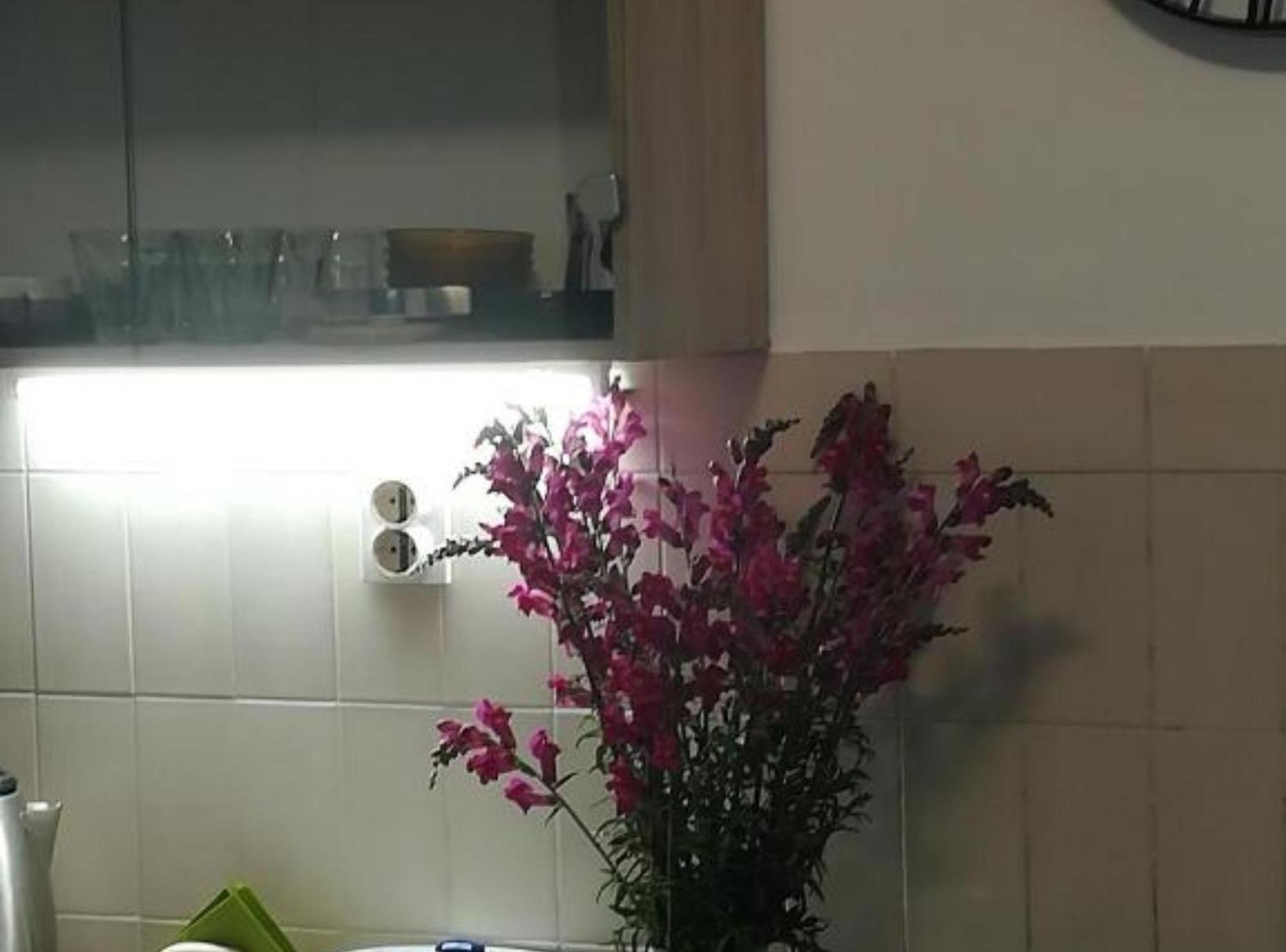 Apartman Olymp Osijek-Garaza Ngoại thất bức ảnh